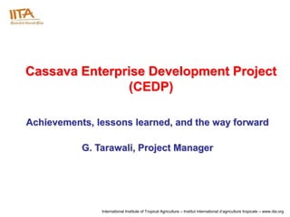 Cassava Enterprise Development Project
               (CEDP)

Achievements, lessons learned, and the way forward

           G. Tarawali, Project Manager




               International Institute of Tropical Agriculture – Institut international d’agriculture tropicale – www.iita.org
 