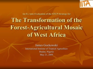 An Ex Ante Evaluation of the STCP Strategy for


The Transformation of the
Forest-Agricultural Mosaic
      of West Africa
                 James Gockowski
      International Institute of Tropical Agriculture
                      Ibadan, Nigeria
                       May 21, 2009
 