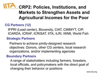 CRP2: Policies, Institutions, and
        Markets to Strengthen Assets and
        Agricultural Incomes for the Poor
CG Partners (12)
 IFPRI (Lead center), Bioversity, CIAT, CIMMYT, CIP,
 ICARDA, ICRAF, ICRISAT, IITA, ILRI, IWMI, World Fish
 Strategic Partners
 Partners to achieve jointly-designed research
 objectives: Donors, other CG centers, local research
 organizations, and/or implementing agencies
Boundary Partners
  A range of stakeholders including farmers, foresters,
  local officials, and policymakers with the direct goal of
  changing their behavior or positions
                                                         www.iita.org
 