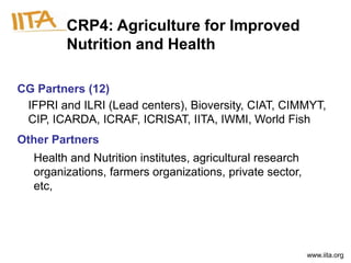 CRP4: Agriculture for Improved
         Nutrition and Health

CG Partners (12)
 IFPRI and ILRI (Lead centers), Bioversity, CIAT, CIMMYT,
 CIP, ICARDA, ICRAF, ICRISAT, IITA, IWMI, World Fish
Other Partners
   Health and Nutrition institutes, agricultural research
   organizations, farmers organizations, private sector,
   etc,




                                                            www.iita.org
 