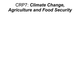 CRP7:  Climate Change, Agriculture and Food Security 