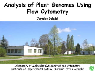 Analysis of Plant Genomes Using
        Flow Cytometry
                      Jaroslav Doležel




    Laboratory of Molecular Cytogenetics and Cytometry,
  Institute of Experimental Botany, Olomouc, Czech Republic
 