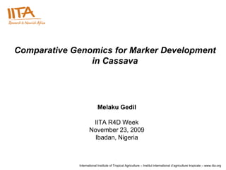 Comparative Genomics for Marker Development
                in Cassava




                           Melaku Gedil

                     IITA R4D Week
                    November 23, 2009
                     Ibadan, Nigeria



             International Institute of Tropical Agriculture – Institut international d’agriculture tropicale – www.iita.org
 
