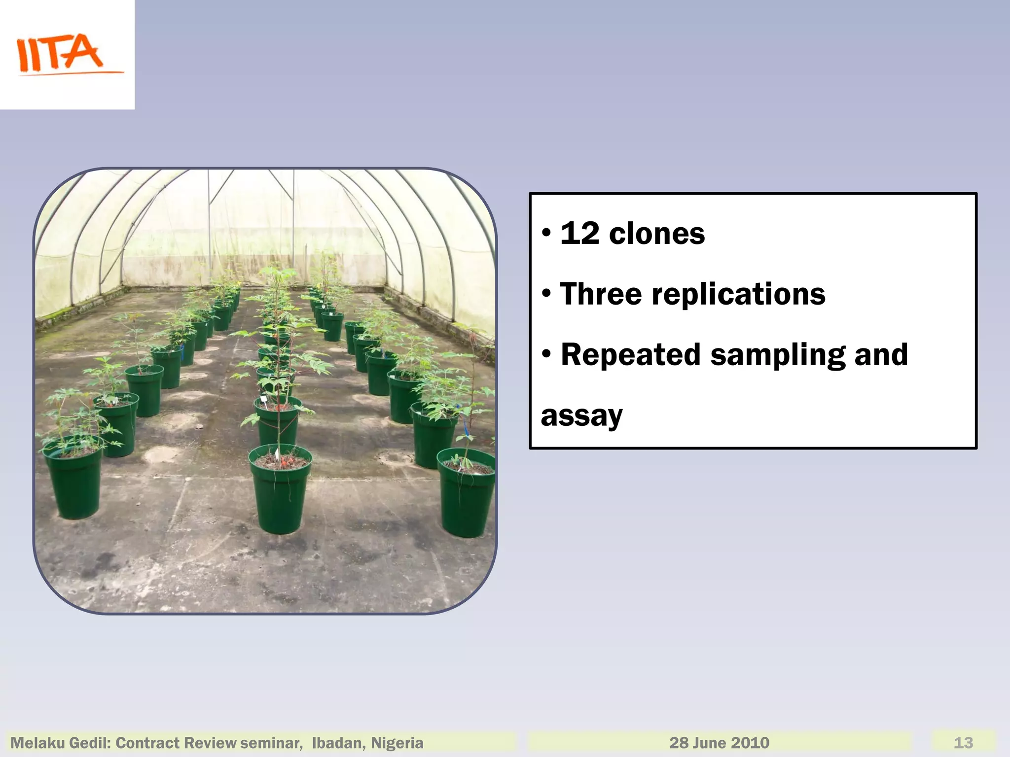 • 12 clones
                                                         • Three replications
                                                         • Repeated sampling and
                                                         assay




Melaku Gedil: Contract Review seminar, Ibadan, Nigeria            28 June 2010     13
 