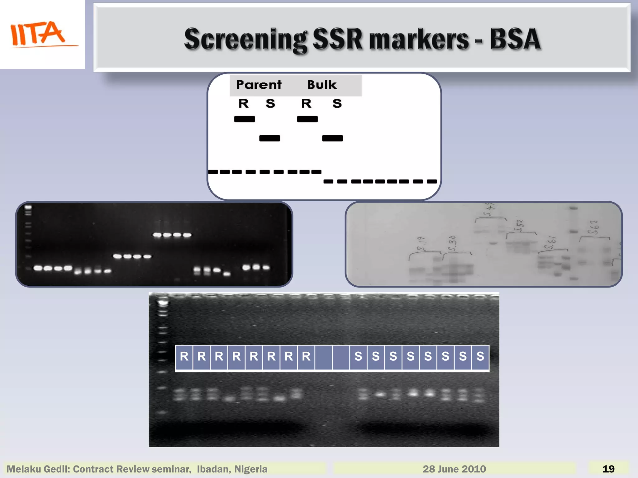 R R R R R R R R       S S S S S S S S




Melaku Gedil: Contract Review seminar, Ibadan, Nigeria          28 June 2010   19
 