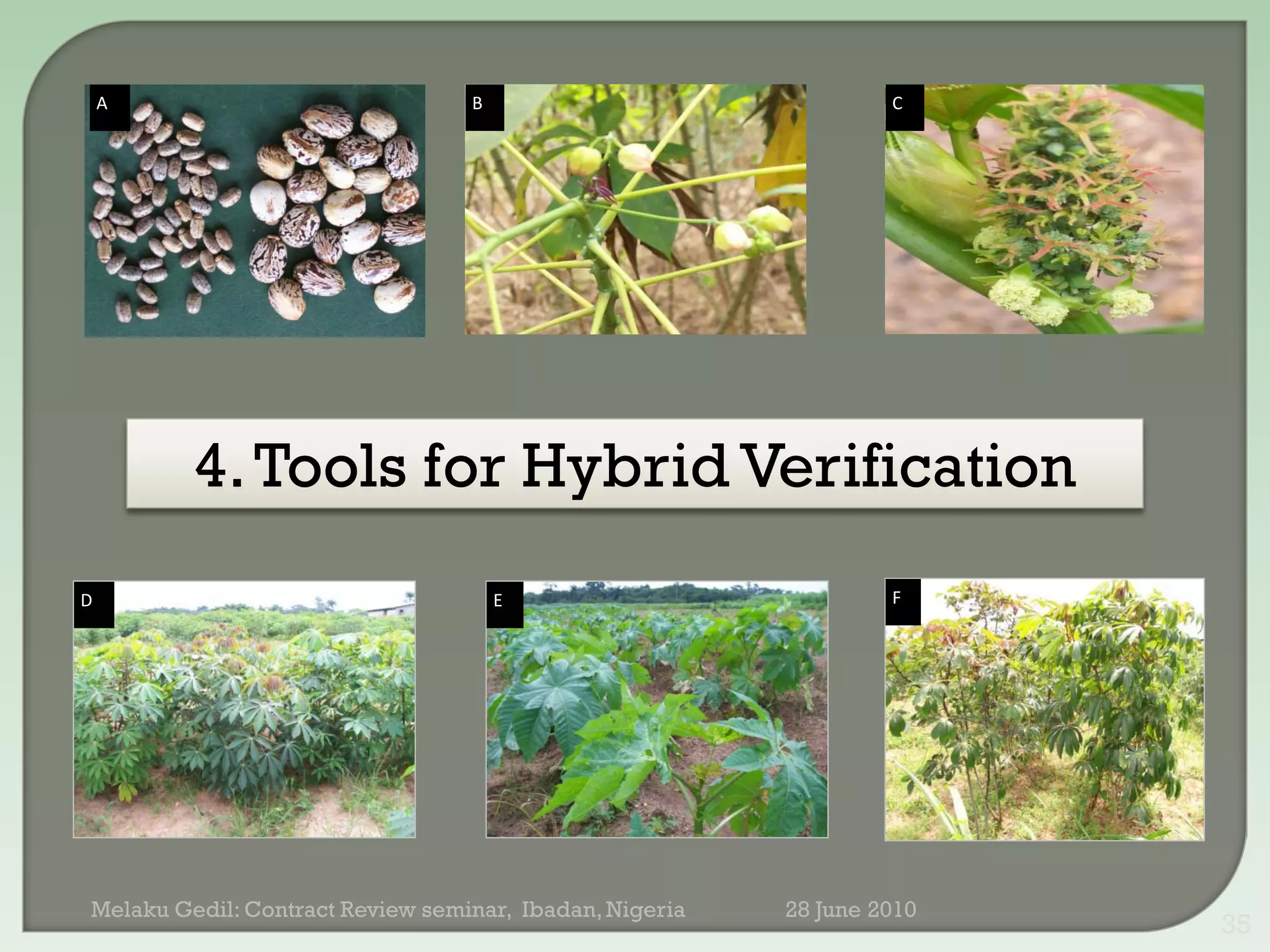 A                             B                               C




         4. Tools for Hybrid Verification
D                                     E                           F




Melaku Gedil: Contract Review seminar, Ibadan, Nigeria   28 June 2010
                                                                        35
 