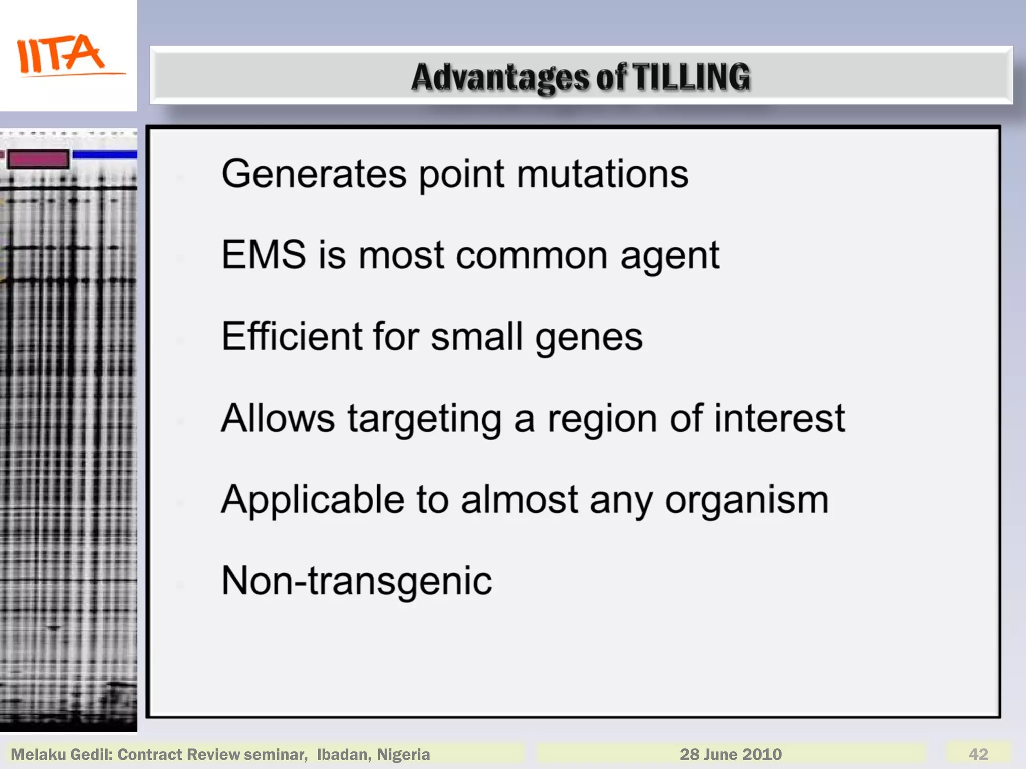 Melaku Gedil: Contract Review seminar, Ibadan, Nigeria   28 June 2010   42
 