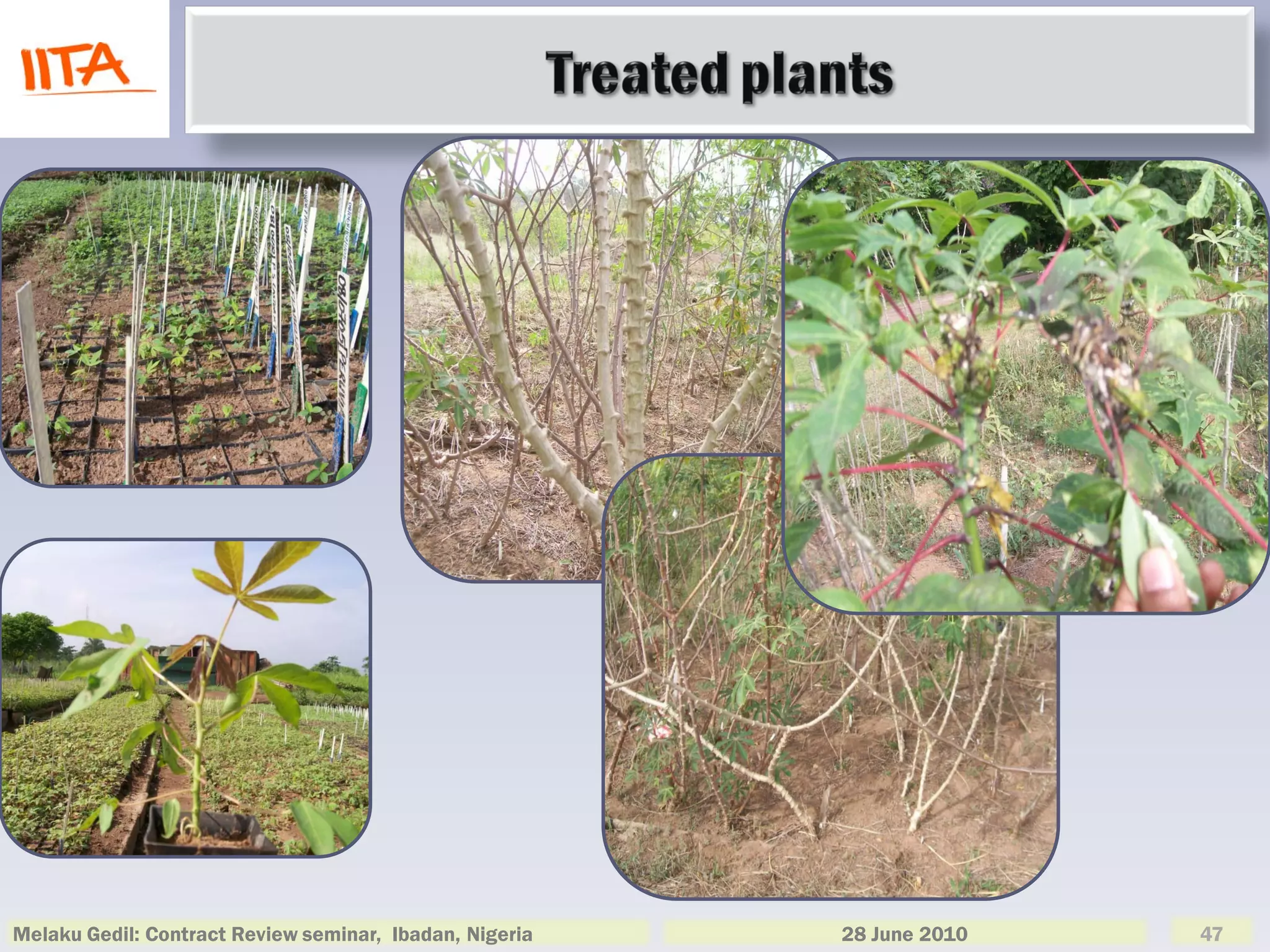 Melaku Gedil: Contract Review seminar, Ibadan, Nigeria   28 June 2010   47
 