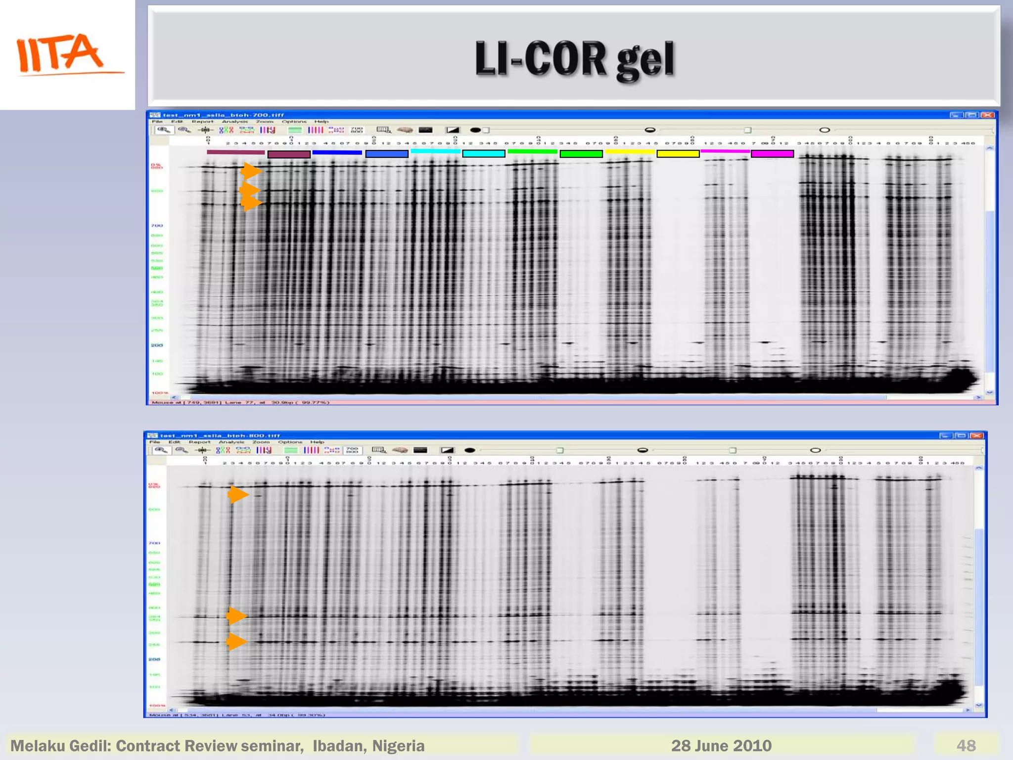Melaku Gedil: Contract Review seminar, Ibadan, Nigeria   28 June 2010   48
 