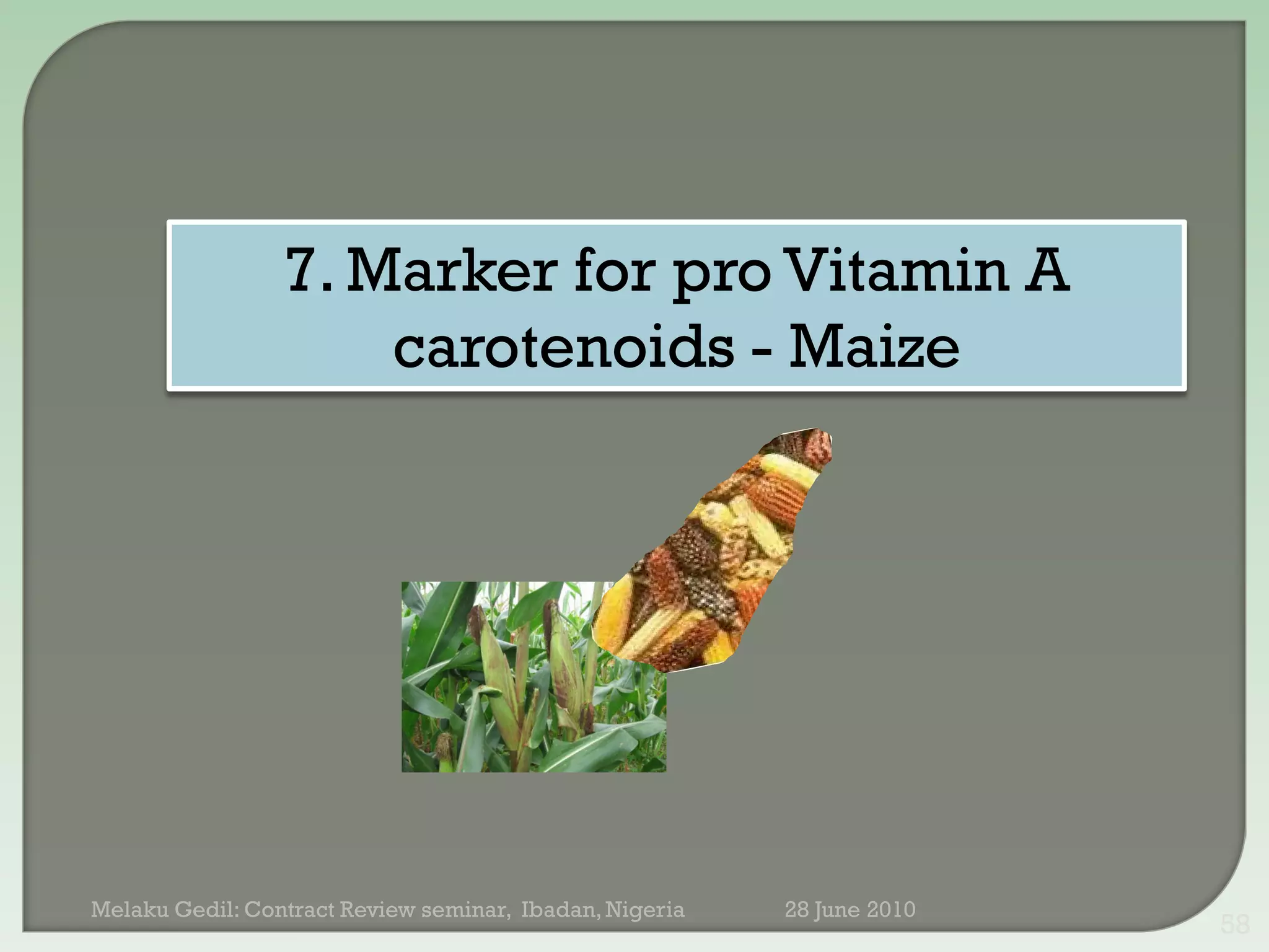 7. Marker for pro Vitamin A
                     carotenoids - Maize




Melaku Gedil: Contract Review seminar, Ibadan, Nigeria   28 June 2010
                                                                        58
 