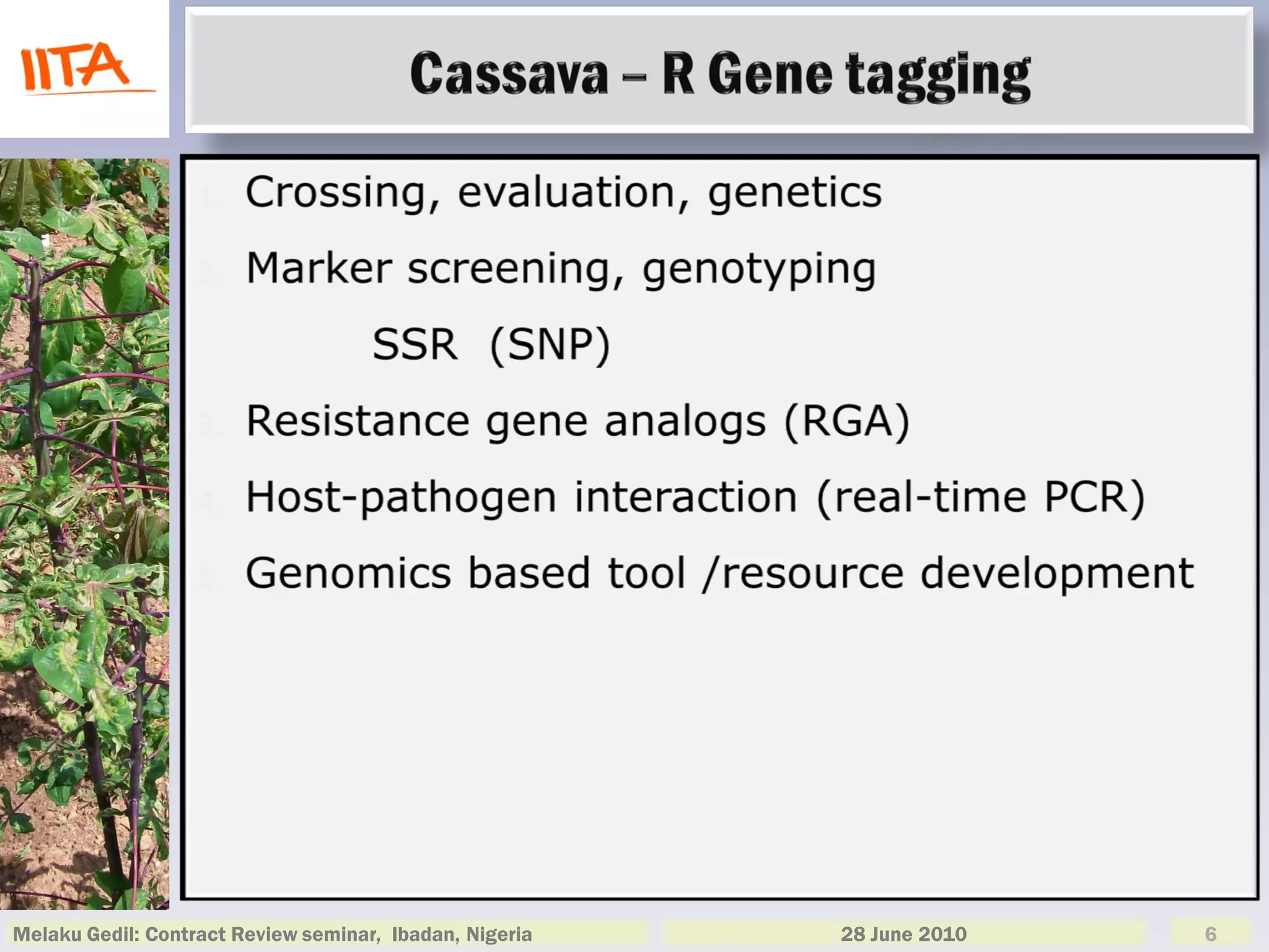 Melaku Gedil: Contract Review seminar, Ibadan, Nigeria   28 June 2010   6
 