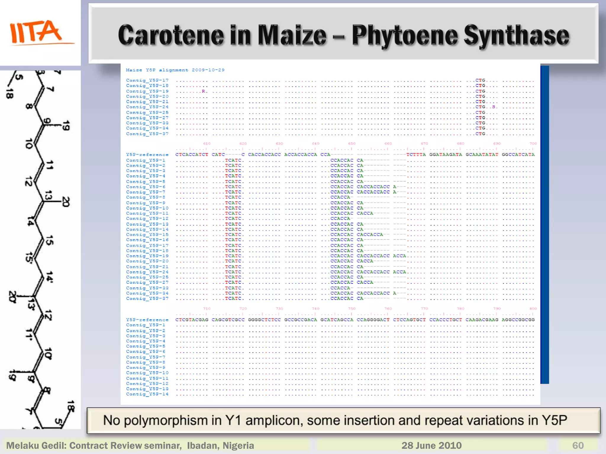 Melaku Gedil: Contract Review seminar, Ibadan, Nigeria   28 June 2010   60
 