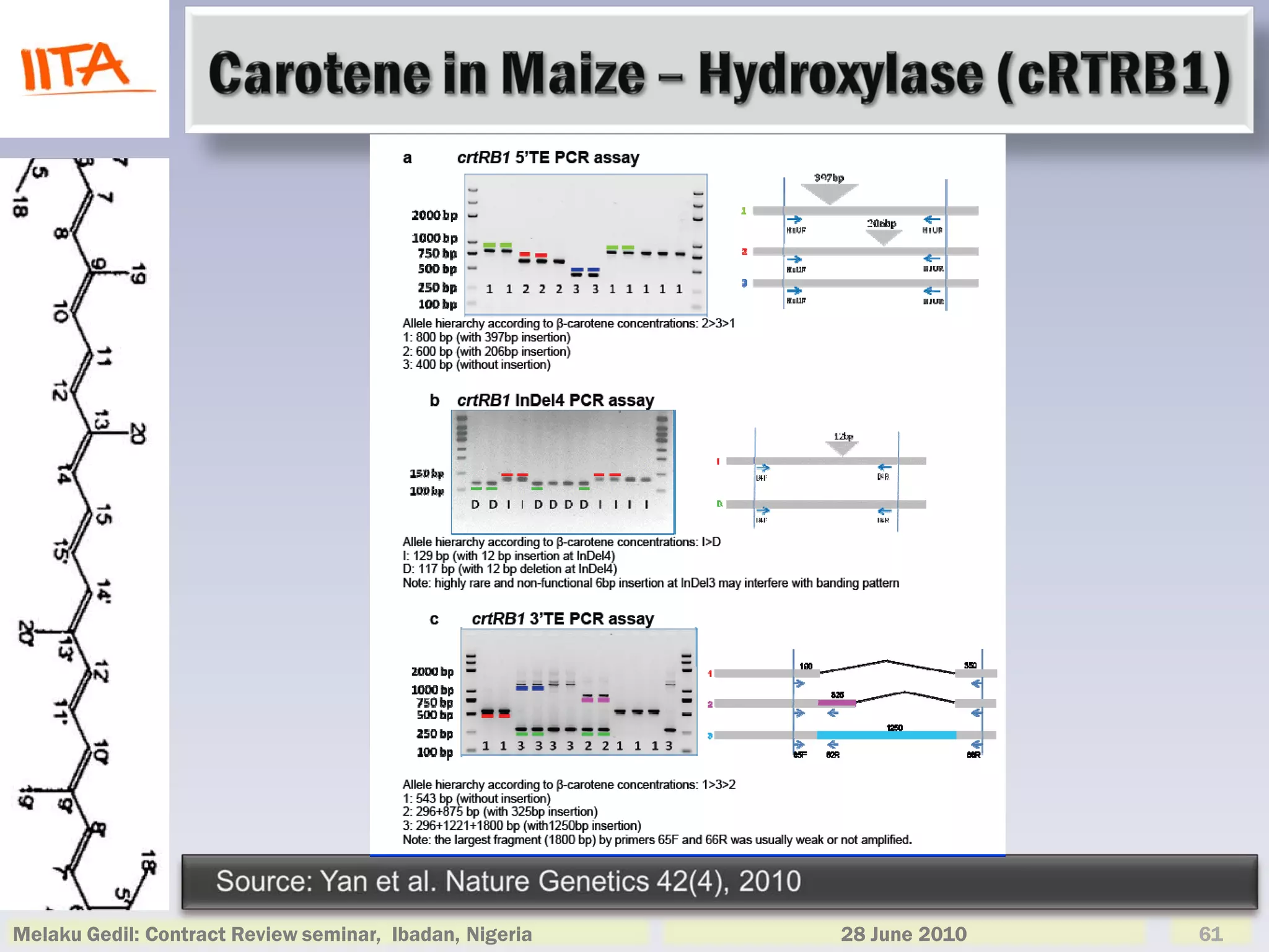 Melaku Gedil: Contract Review seminar, Ibadan, Nigeria   28 June 2010   61
 