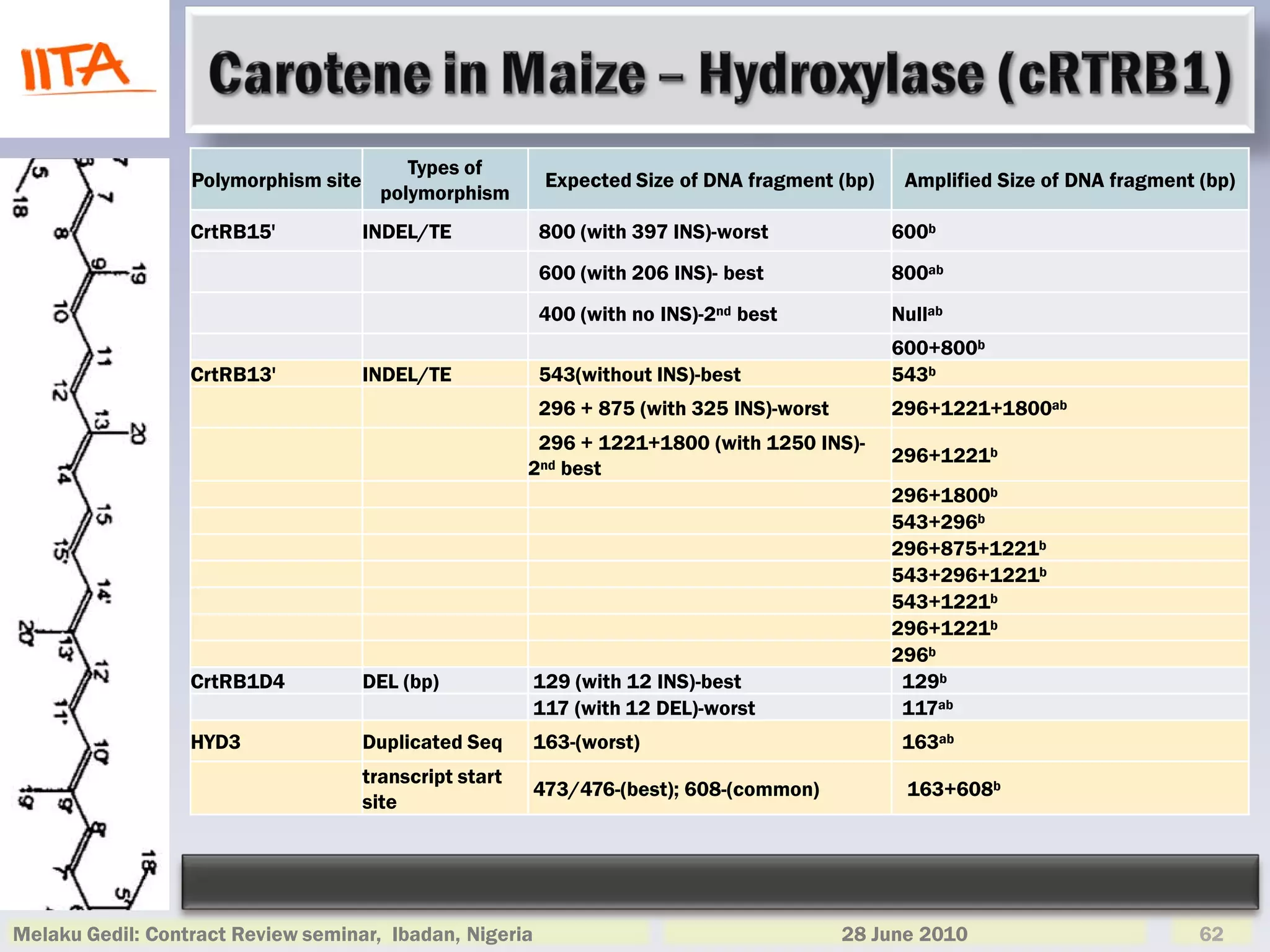 Types of
                  Polymorphism site                       Expected Size of DNA fragment (bp)    Amplified Size of DNA fragment (bp)
                                        polymorphism
                  CrtRB15'            INDEL/TE            800 (with 397 INS)-worst             600b
                                                          600 (with 206 INS)- best             800ab
                                                          400 (with no INS)-2nd best           Nullab
                                                                                               600+800b
                  CrtRB13'            INDEL/TE            543(without INS)-best                543b
                                                          296 + 875 (with 325 INS)-worst       296+1221+1800ab
                                                          296 + 1221+1800 (with 1250 INS)-
                                                                                               296+1221b
                                                         2nd best
                                                                                               296+1800b
                                                                                               543+296b
                                                                                               296+875+1221b
                                                                                               543+296+1221b
                                                                                               543+1221b
                                                                                               296+1221b
                                                                                               296b
                  CrtRB1D4            DEL (bp)           129 (with 12 INS)-best                 129b
                                                         117 (with 12 DEL)-worst                117ab
                  HYD3                Duplicated Seq     163-(worst)                            163ab
                                      transcript start
                                                         473/476-(best); 608-(common)            163+608b
                                      site




Melaku Gedil: Contract Review seminar, Ibadan, Nigeria                                     28 June 2010                        62
 