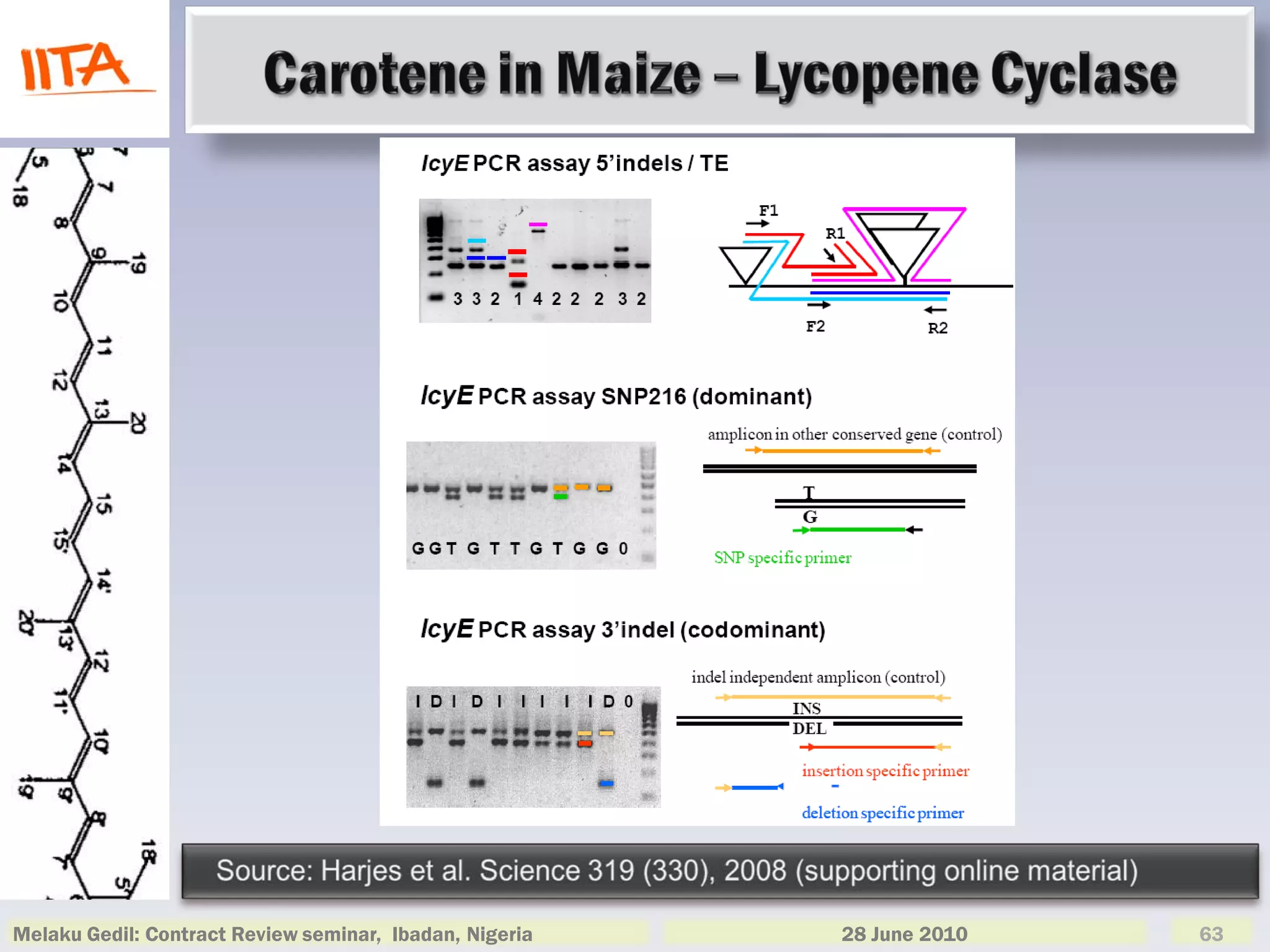 Melaku Gedil: Contract Review seminar, Ibadan, Nigeria   28 June 2010   63
 