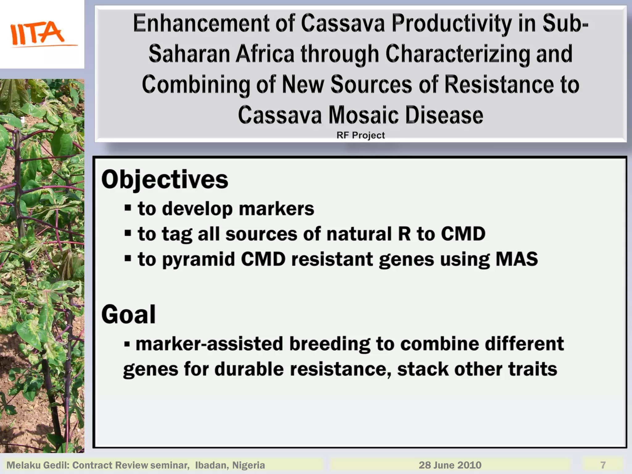 Melaku Gedil: Contract Review seminar, Ibadan, Nigeria   28 June 2010   7
 