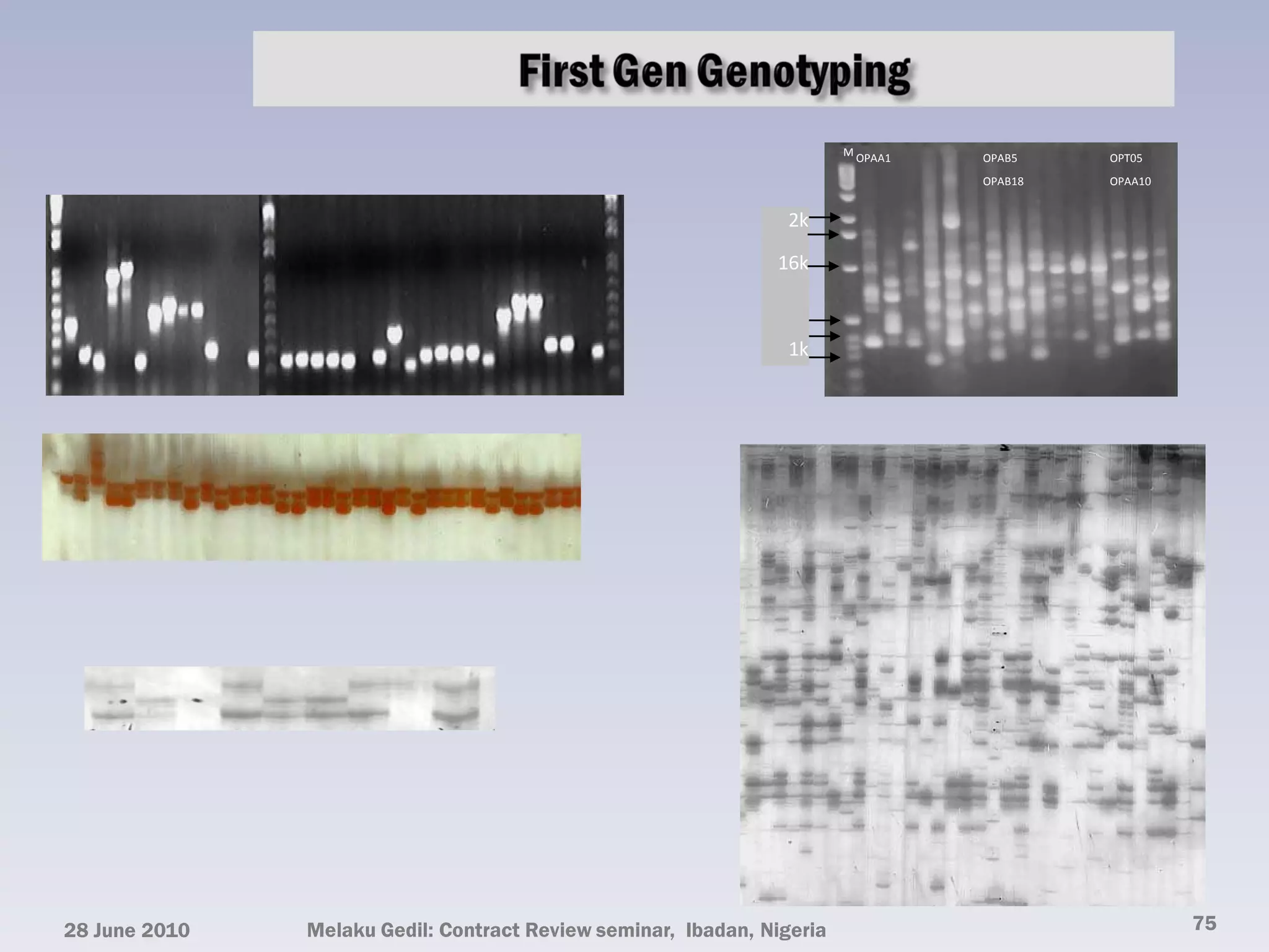 M OPAA1   OPAB5    OPT05
                                                                                  OPAB18   OPAA10


                                                                 2k

                                                               16k



                                                                 1k




28 June 2010   Melaku Gedil: Contract Review seminar, Ibadan, Nigeria                               75
 