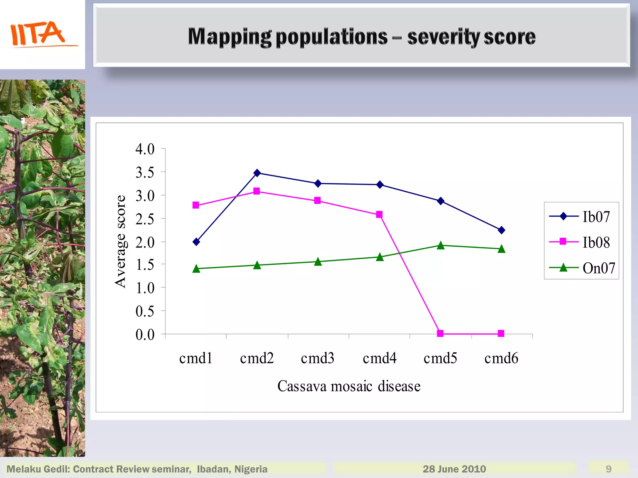 4.0
                                      3.5
                                      3.0
                      Average score




                                      2.5                                                            Ib07
                                      2.0                                                            Ib08
                                      1.5                                                            On07
                                      1.0
                                      0.5
                                      0.0
                                            cmd1   cmd2      cmd3      cmd4        cmd5       cmd6
                                                          Cassava mosaic disease



Melaku Gedil: Contract Review seminar, Ibadan, Nigeria                             28 June 2010         9
 