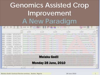 Genomics Assisted Crop
               Improvement
              A New Paradigm




                                                  Melaku Gedil
                                        Monday 28 June, 2010


Melaku Gedil: Contract Review seminar, Ibadan, Nigeria           28 June 2010   1
 