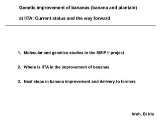 Genetic improvement of bananas (banana and plantain)

at IITA: Current status and the way forward




1. Molecular and genetics studies in the SMIP II project


2. Where is IITA in the improvement of bananas


3. Next steps in banana improvement and delivery to farmers




                                                           Vroh, Bi Irie
 
