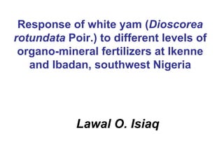 Response of white yam (Dioscorea
rotundata Poir.) to different levels of
 organo-mineral fertilizers at Ikenne
   and Ibadan, southwest Nigeria




            Lawal O. Isiaq
 