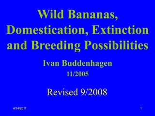 Wild Bananas,
Domestication, Extinction
and Breeding Possibilities
             Ivan Buddenhagen
                  11/2005

             Revised 9/2008
 4/14/2011                      1
 
