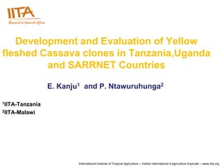 Development and Evaluation of Yellow
fleshed Cassava clones in Tanzania,Uganda
         and SARRNET Countries

                 E. Kanju1 and P. Ntawuruhunga2

1IITA-Tanzania

2IITA-Malawi




                         International Institute of Tropical Agriculture – Institut international d’agriculture tropicale – www.iita.org
 
