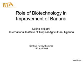 Role of Biotechnology in
     Improvement of Banana
                     Leena Tripathi
International Institute of Tropical Agriculture, Uganda



                 Contract Review Seminar
                      16th April 2009




                                                     www.iita.org
 
