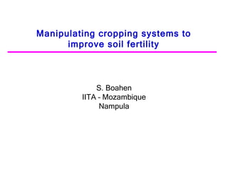 Manipulating cropping systems to improve soil fertility S. Boahen IITA – Mozambique Nampula 