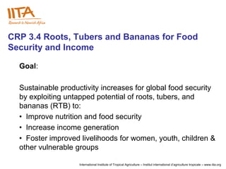 CRP 3.4 Roots, Tubers and Bananas for Food
Security and Income

  Goal:

  Sustainable productivity increases for global food security
  by exploiting untapped potential of roots, tubers, and
  bananas (RTB) to:
  • Improve nutrition and food security
  • Increase income generation
  • Foster improved livelihoods for women, youth, children &
  other vulnerable groups

                    International Institute of Tropical Agriculture – Institut international d‟agriculture tropicale – www.iita.org
 
