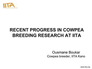 RECENT PROGRESS IN COWPEA
 BREEDING RESEARCH AT IITA


                Ousmane Boukar
             Cowpea breeder, IITA Kano


                                  www.iita.org
 