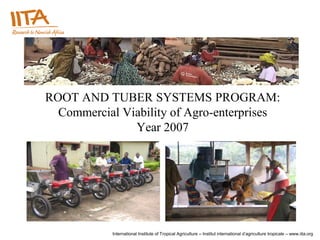 ROOT AND TUBER SYSTEMS PROGRAM:
  Commercial Viability of Agro-enterprises
               Year 2007




            International Institute of Tropical Agriculture – Institut international d’agriculture tropicale – www.iita.org
 