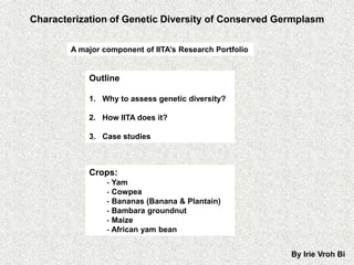 Characterization of Genetic Diversity of Conserved Germplasm


        A major component of IITA’s Research Portfolio


            Outline

            1. Why to assess genetic diversity?

            2. How IITA does it?

            3. Case studies



            Crops:
                 - Yam
                 - Cowpea
                 - Bananas (Banana & Plantain)
                 - Bambara groundnut
                 - Maize
                 - African yam bean


                                                         By Irie Vroh Bi
 