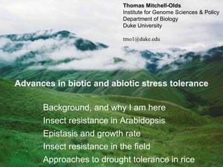 Background, and why I am here Insect resistance in Arabidopsis Epistasis and growth rate Insect resistance in the field  Approaches to drought tolerance in rice Thomas Mitchell-Olds Institute for Genome Sciences & Policy Department of Biology Duke University [email_address] Advances in biotic and abiotic stress tolerance 