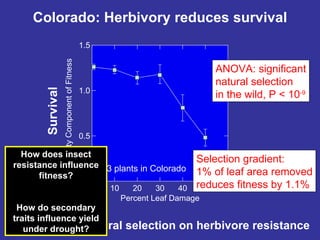 Advances in biotic and abiotic stress tolerance | PPT