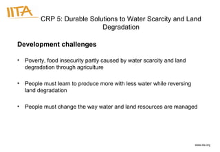 [object Object],[object Object],[object Object],[object Object],CRP 5: Durable Solutions to Water Scarcity and Land Degradation 