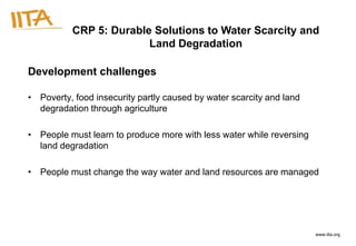 CRP 5: Durable Solutions to Water Scarcity and
                        Land Degradation

Development challenges

• Poverty, food insecurity partly caused by water scarcity and land
  degradation through agriculture

• People must learn to produce more with less water while reversing
  land degradation

• People must change the way water and land resources are managed




                                                                      www.iita.org
 