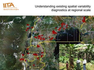 Understanding existing spatial variability
             diagnostics at regional scale




International Institute of Tropical Agriculture – Institut international d’agriculture tropicale – www.iita.org
 