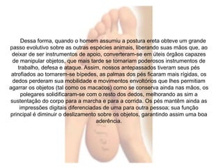 Dessa forma, quando o homem assumiu a postura ereta obteve um grande 
passo evolutivo sobre as outras espécies animais, liberando suas mãos que, ao 
deixar de ser instrumentos de apoio, converteram-se em úteis órgãos capazes 
de manipular objetos, que mais tarde se tornariam poderosos instrumentos de 
trabalho, defesa e ataque. Assim, nossos antepassados tiveram seus pés 
atrofiados ao tornarem-se bípedes, as palmas dos pés ficaram mais rígidas, os 
dedos perderam sua mobilidade e movimentos envoltórios que lhes permitiam 
agarrar os objetos (tal como os macacos) como se conserva ainda nas mãos, os 
polegares solidificaram-se com o resto dos dedos, melhorando as sim a 
sustentação do corpo para a marcha e para a corrida. Os pés mantêm ainda as 
impressões digitais diferenciadas de uma para outra pessoa; sua função 
principal é diminuir o deslizamento sobre os objetos, garantindo assim uma boa 
aderência. 
 