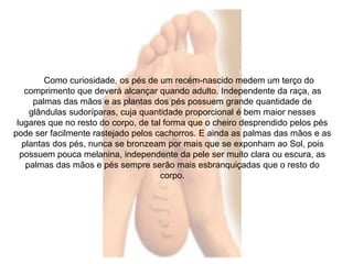 Como curiosidade, os pés de um recém-nascido medem um terço do 
comprimento que deverá alcançar quando adulto. Independente da raça, as 
palmas das mãos e as plantas dos pés possuem grande quantidade de 
glândulas sudoríparas, cuja quantidade proporcional é bem maior nesses 
lugares que no resto do corpo, de tal forma que o cheiro desprendido pelos pés 
pode ser facilmente rastejado pelos cachorros. E ainda as palmas das mãos e as 
plantas dos pés, nunca se bronzeam por mais que se exponham ao Sol, pois 
possuem pouca melanina, independente da pele ser muito clara ou escura, as 
palmas das mãos e pés sempre serão mais esbranquiçadas que o resto do 
corpo. 
 
