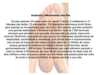 Anatomia e Movimentos dos Pés 
Os pés possuem 26 ossos cada um, sendo 7 tarsos, 5 metatarsos e 14 
falanges dos dedos; 33 articulações; 114 ligamentos tendinosos muito fortes, 
para suportar os movimentos e peso do corpo; 20 músculos que lhes conferem 
uma grande elasticidade e fortaleza e ainda tem mais de 7.000 terminais 
nervosos que permitem que sua pele, em especial a da planta, seja muito 
sensível. Nenhuma outra parte do corpo possui tão marcantes características de 
elasticidade, sensibilidade e resistência. Esta última então é impressionante, 
pois os pés ao longo da vida batem no chão perto de 10 milhões de vezes, 
porque geralmente andamos em média 3 km/dia ou 90 km/mês, dando 
aproximadamente 1.000 km/ano. Considerando que cada kilômetro equivale a 
mais ou menos 2.500 passos, ao cabo de um ano podemos ter dado mais de 
dois milhões e meio de passos, sendo que em média uma pessoa pode dar mais 
de cento e cinqüenta milhões de passos durante a sua vida. 
 