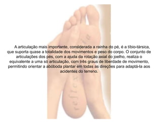 A articulação mais importante, considerada a rainha do pé, é a tíbio-társica, 
que suporta quase a totalidade dos movimentos e peso do corpo. O conjunto de 
articulações dos pés, com a ajuda da rotação axial do joelho, realiza o 
equivalente a uma só articulação, com três graus de liberdade de movimento, 
permitindo orientar a abóboda plantar em todas as direções para adaptá-la aos 
acidentes do terreno. 
 