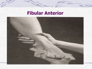 Fibular Anterior
Paciente: DD ou sentado.
Fixação: O examinador sustenta a perna acima da
art. do tornozelo.
Prova: Dorsiflexão da art. do tornozelo, com eversão
do pé.
Pressão: Contra o lado lateral, superfície dorsal do pé
na direção da flexão plantar e inversão.
Fraqueza: Diminui a capacidade de everter o pé e
dorsifletir a art. do tornozelo.
Contratura: Dorsiflexão da art. do tornozelo e
eversão do pé.
 