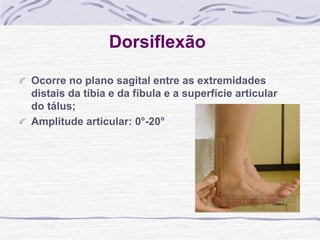 Dorsiflexão
Ocorre no plano sagital entre as extremidades
distais da tíbia e da fíbula e a superfície articular
do tálus;
Amplitude articular: 0°-20°
 