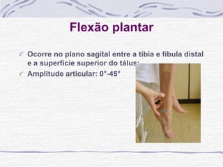 Flexão plantar
Ocorre no plano sagital entre a tíbia e fíbula distal
e a superfície superior do tálus;
Amplitude articular: 0°-45°
 