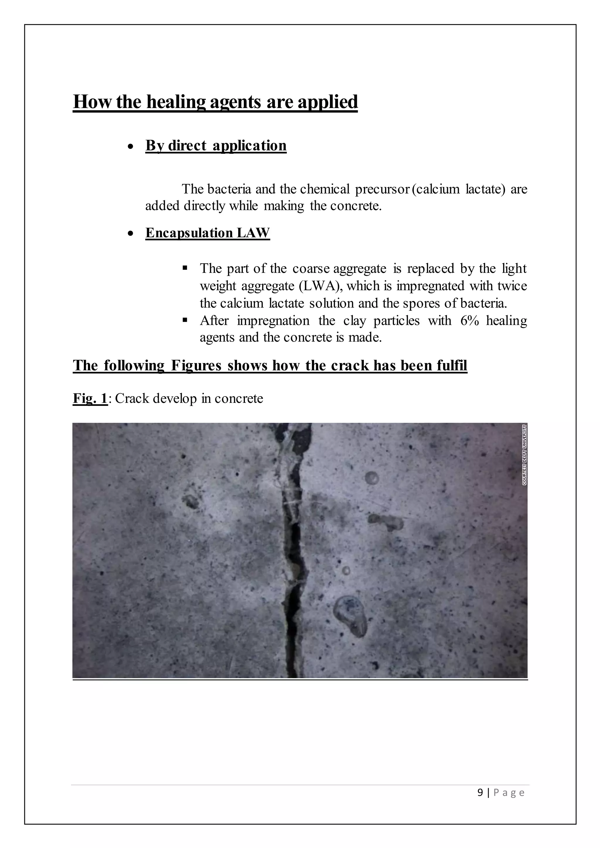 9 | P a g e
How the healing agents are applied
 By direct application
The bacteria and the chemical precursor(calcium lactate) are
added directly while making the concrete.
 Encapsulation LAW
 The part of the coarse aggregate is replaced by the light
weight aggregate (LWA), which is impregnated with twice
the calcium lactate solution and the spores of bacteria.
 After impregnation the clay particles with 6% healing
agents and the concrete is made.
The following Figures shows how the crack has been fulfil
Fig. 1: Crack develop in concrete
 