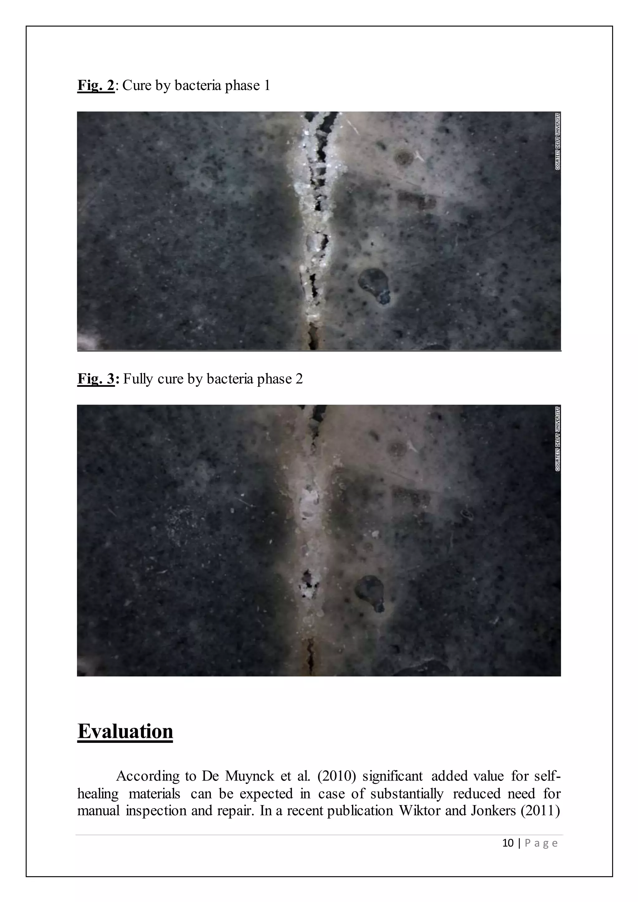 10 | P a g e
Fig. 2: Cure by bacteria phase 1
Fig. 3: Fully cure by bacteria phase 2
Evaluation
According to De Muynck et al. (2010) significant added value for self-
healing materials can be expected in case of substantially reduced need for
manual inspection and repair. In a recent publication Wiktor and Jonkers (2011)
 
