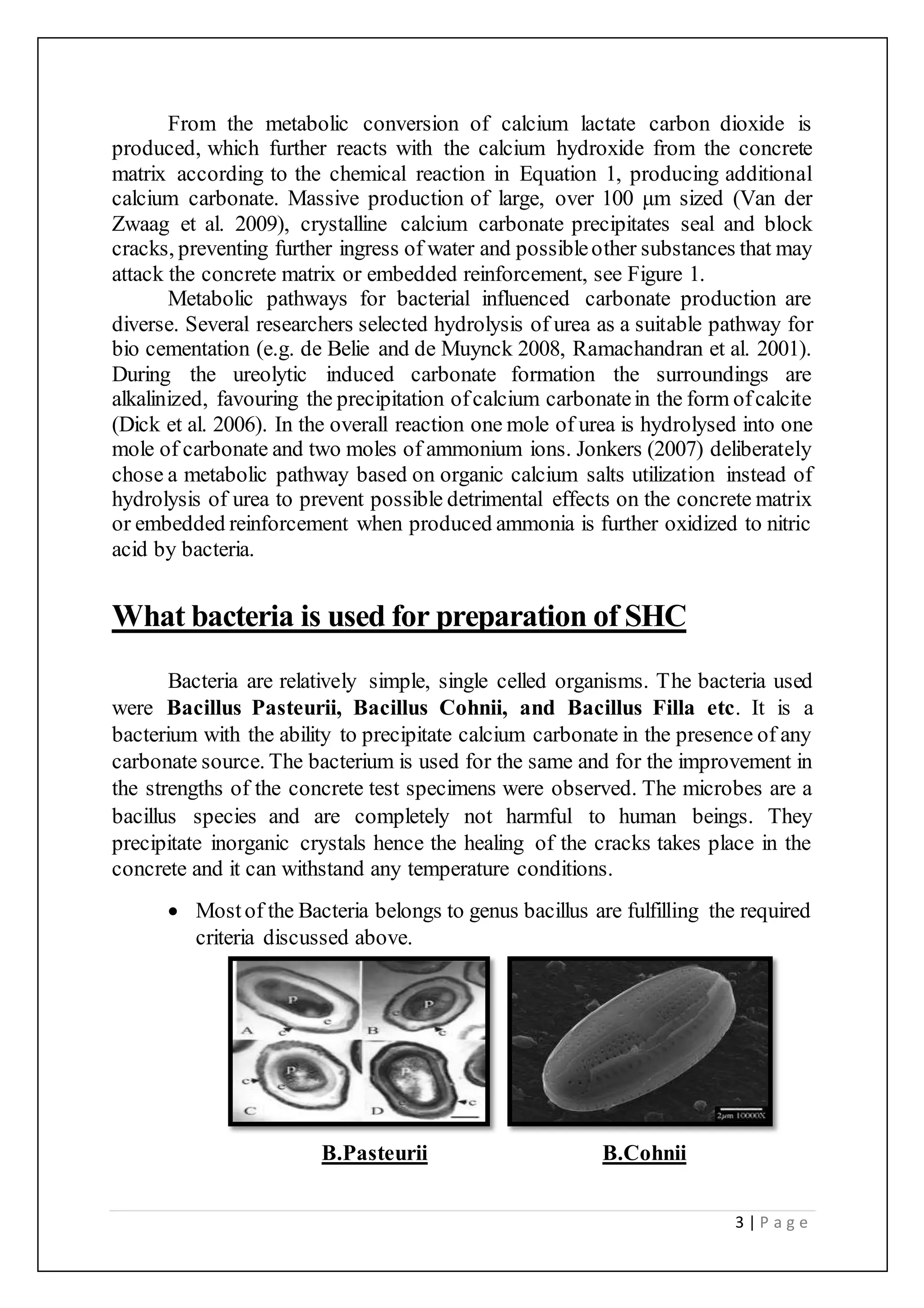 3 | P a g e
From the metabolic conversion of calcium lactate carbon dioxide is
produced, which further reacts with the calcium hydroxide from the concrete
matrix according to the chemical reaction in Equation 1, producing additional
calcium carbonate. Massive production of large, over 100 μm sized (Van der
Zwaag et al. 2009), crystalline calcium carbonate precipitates seal and block
cracks, preventing further ingress of water and possibleother substances that may
attack the concrete matrix or embedded reinforcement, see Figure 1.
Metabolic pathways for bacterial influenced carbonate production are
diverse. Several researchers selected hydrolysis of urea as a suitable pathway for
bio cementation (e.g. de Belie and de Muynck 2008, Ramachandran et al. 2001).
During the ureolytic induced carbonate formation the surroundings are
alkalinized, favouring the precipitation ofcalcium carbonatein the form ofcalcite
(Dick et al. 2006). In the overall reaction one mole of urea is hydrolysed into one
mole of carbonate and two moles of ammonium ions. Jonkers (2007) deliberately
chose a metabolic pathway based on organic calcium salts utilization instead of
hydrolysis of urea to prevent possible detrimental effects on the concrete matrix
or embedded reinforcement when produced ammonia is further oxidized to nitric
acid by bacteria.
What bacteria is used for preparation of SHC
Bacteria are relatively simple, single celled organisms. The bacteria used
were Bacillus Pasteurii, Bacillus Cohnii, and Bacillus Filla etc. It is a
bacterium with the ability to precipitate calcium carbonate in the presence of any
carbonate source. The bacterium is used for the same and for the improvement in
the strengths of the concrete test specimens were observed. The microbes are a
bacillus species and are completely not harmful to human beings. They
precipitate inorganic crystals hence the healing of the cracks takes place in the
concrete and it can withstand any temperature conditions.
 Mostof the Bacteria belongs to genus bacillus are fulfilling the required
criteria discussed above.
B.Pasteurii B.Cohnii
 