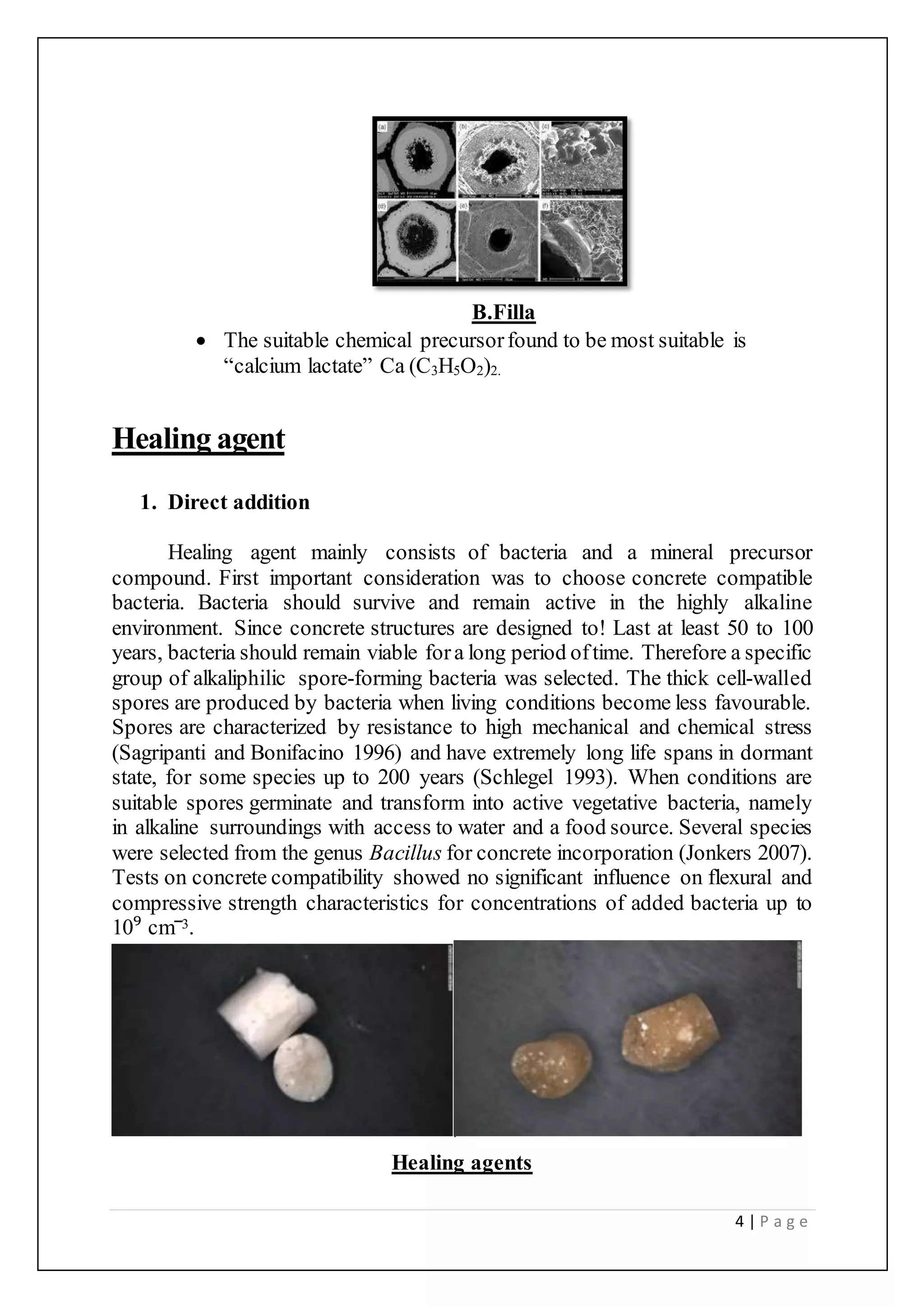 4 | P a g e
B.Filla
 The suitable chemical precursorfound to be most suitable is
“calcium lactate” Ca (C3H5O2)2.
Healing agent
1. Direct addition
Healing agent mainly consists of bacteria and a mineral precursor
compound. First important consideration was to choose concrete compatible
bacteria. Bacteria should survive and remain active in the highly alkaline
environment. Since concrete structures are designed to! Last at least 50 to 100
years, bacteria should remain viable fora long period oftime. Therefore a specific
group of alkaliphilic spore-forming bacteria was selected. The thick cell-walled
spores are produced by bacteria when living conditions become less favourable.
Spores are characterized by resistance to high mechanical and chemical stress
(Sagripanti and Bonifacino 1996) and have extremely long life spans in dormant
state, for some species up to 200 years (Schlegel 1993). When conditions are
suitable spores germinate and transform into active vegetative bacteria, namely
in alkaline surroundings with access to water and a food source. Several species
were selected from the genus Bacillus for concrete incorporation (Jonkers 2007).
Tests on concrete compatibility showed no significant influence on flexural and
compressive strength characteristics for concentrations of added bacteria up to
10⁹ cm‾3.
Healing agents
 