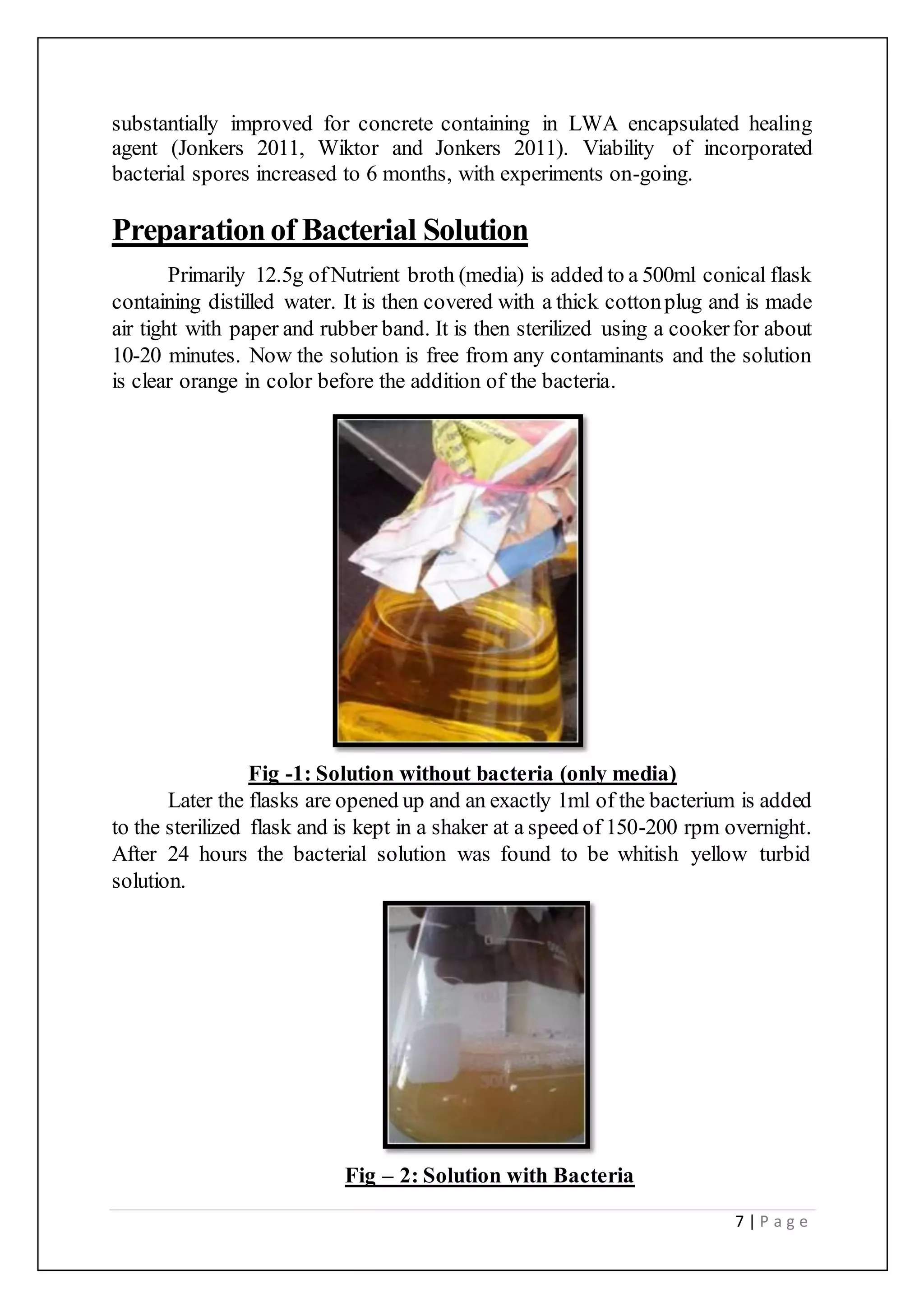7 | P a g e
substantially improved for concrete containing in LWA encapsulated healing
agent (Jonkers 2011, Wiktor and Jonkers 2011). Viability of incorporated
bacterial spores increased to 6 months, with experiments on-going.
Preparationof Bacterial Solution
Primarily 12.5g ofNutrient broth (media) is added to a 500ml conical flask
containing distilled water. It is then covered with a thick cottonplug and is made
air tight with paper and rubber band. It is then sterilized using a cookerfor about
10-20 minutes. Now the solution is free from any contaminants and the solution
is clear orange in color before the addition of the bacteria.
Fig -1: Solution without bacteria (only media)
Later the flasks are opened up and an exactly 1ml of the bacterium is added
to the sterilized flask and is kept in a shaker at a speed of 150-200 rpm overnight.
After 24 hours the bacterial solution was found to be whitish yellow turbid
solution.
Fig – 2: Solution with Bacteria
 